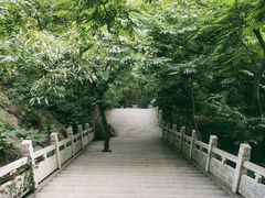 -石老人观光园