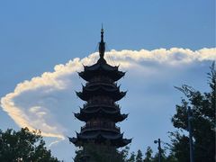 -龙华素斋(龙华路店)