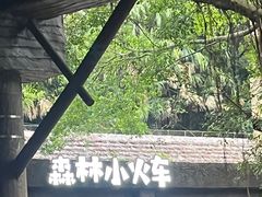 -东部华侨城
