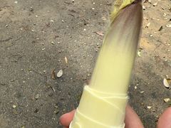 -李东农庄(中南百草园地标店)