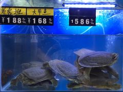 -金龙·打边炉(武进路店)