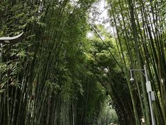 -望江楼公园