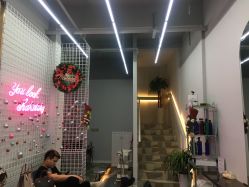 -茶发Salon·烫发染发理发