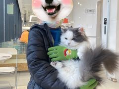 -怪兽屋·羊驼·猫咖·狗咖(俊华广场店)