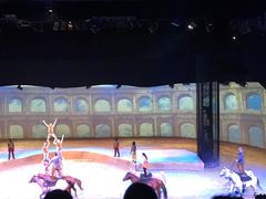 -cavalia·舞马