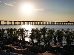 -宝安西湾红树林湿地公园