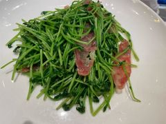 鸡油腊味炒豆苗-潮界(凯德晶萃店)