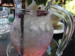 -Fern Forest Cafe