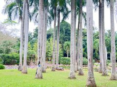 -中国科学院西双版纳热带植物园