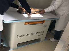 -萌兽医馆·绝育·24小时内科·宠物医院(德胜店)