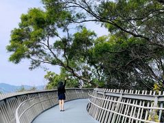 -福道