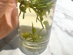 -花园茶楼·早茶·淮扬菜(兴城西路店)
