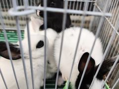 -玉泉综合市场(天山北路店)