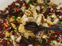 -三猫黑鱼花(南大店)