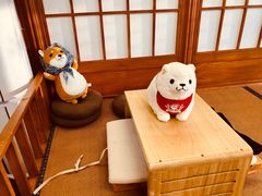 -豆柴町-柴犬主题狗咖(红鼎国际C座店)