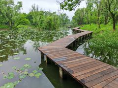 -西溪国家湿地公园