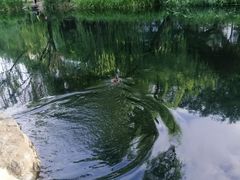 -南长河公园