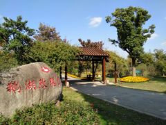 -鹅湖玫瑰文化园
