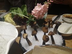 -尚海豆捞(乐虹坊店)