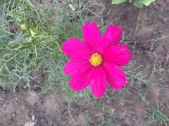 -圣地雅歌KTV(市府广场店)