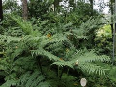 -成都市活水公园