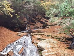 -光雾山旅游景区