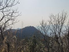 -午潮山国家森林公园