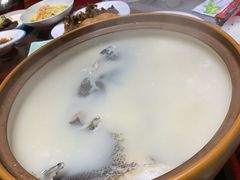 千岛湖养生鱼头汤-森谷美食公园(杨行店)
