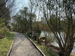 -新江湾城公园