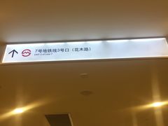 -证大喜玛拉雅中心
