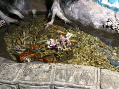 -苏州海洋馆