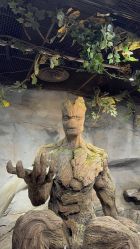 -Zoolung Zoolung动物主题公园(海信广场店)