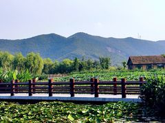 iphone_upload_pic-长兴太湖图影湿地文化园