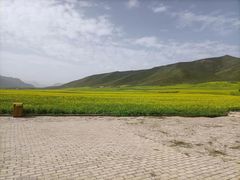 -扁都口生态休闲旅游区