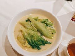 腐乳生菜-東海海鲜酒家(中信广场店)