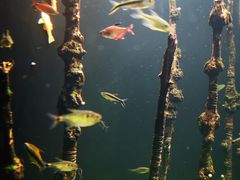 -成都浩海立方海洋公园