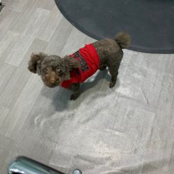 -15C7 男士理发馆 烫染专业店