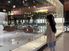 -青岛贝壳博物馆