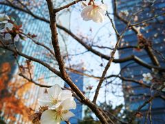 -静安公园(静安寺街道)