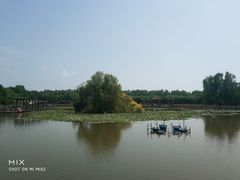景点-大湾区中央湿地公园