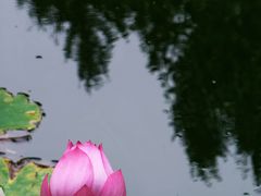 -宣武艺园