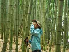 -黄山翡翠谷景区