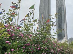 -南京国际青年文化中心