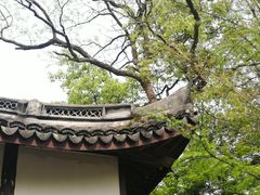 -上海佘山国家森林公园天马山园