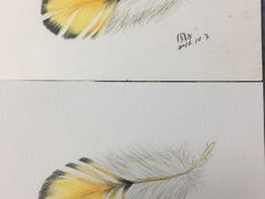 -鼎画艺术机构(贵都店)