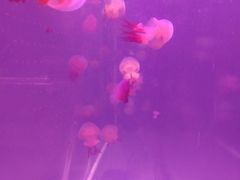 -欧亚达商业广场(红桥店)