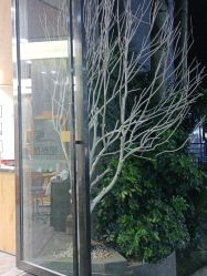 -星格造型·Hair Salon