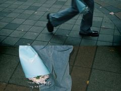 -绵阳人民公园(涪城区)