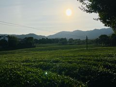 -敬亭山风景名胜区