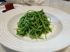 -丽晶美庐·玉兰餐厅